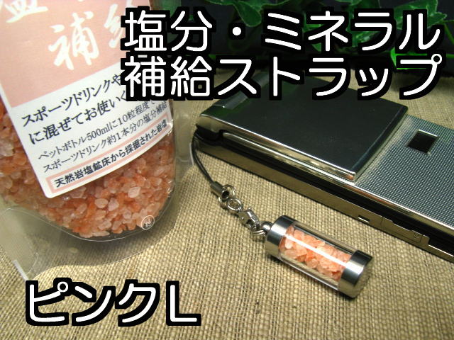 熱中症対策携帯2