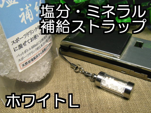 熱中症対策携帯5