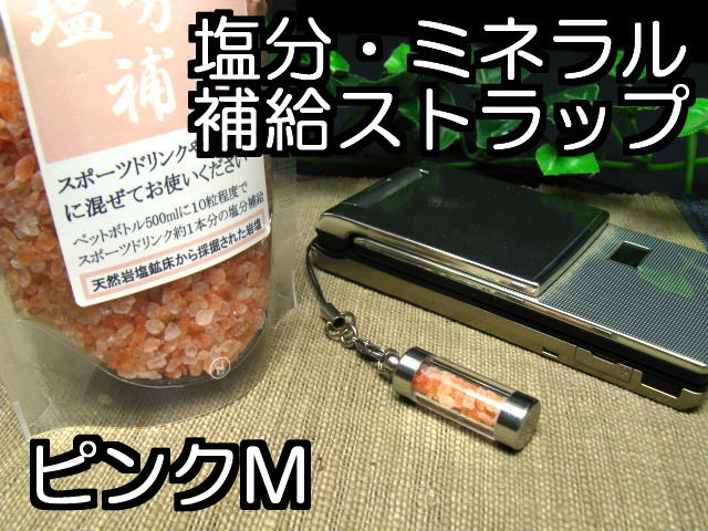 熱中症対策携帯1