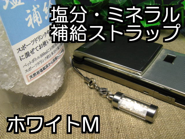 熱中症対策携帯4